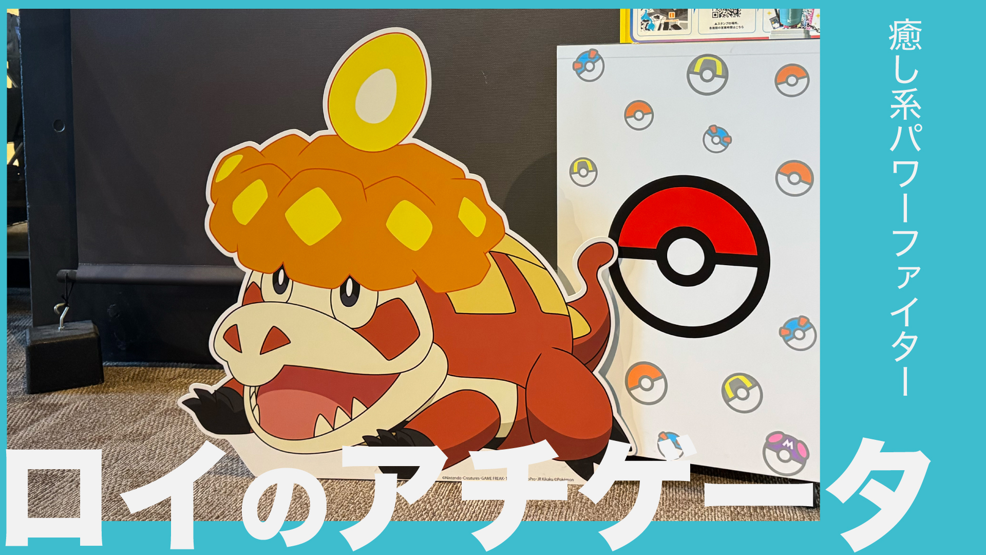 ロイのアチゲータ